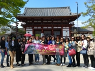 2017 Travel Japan Activities