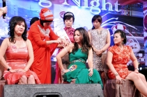 2012 Medan Sparkling Night